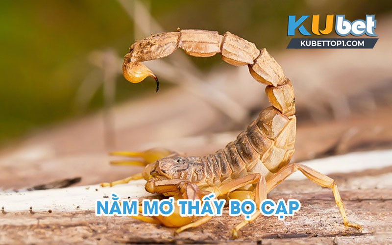 Mơ thấy bò cạp điềm lành hay dữ